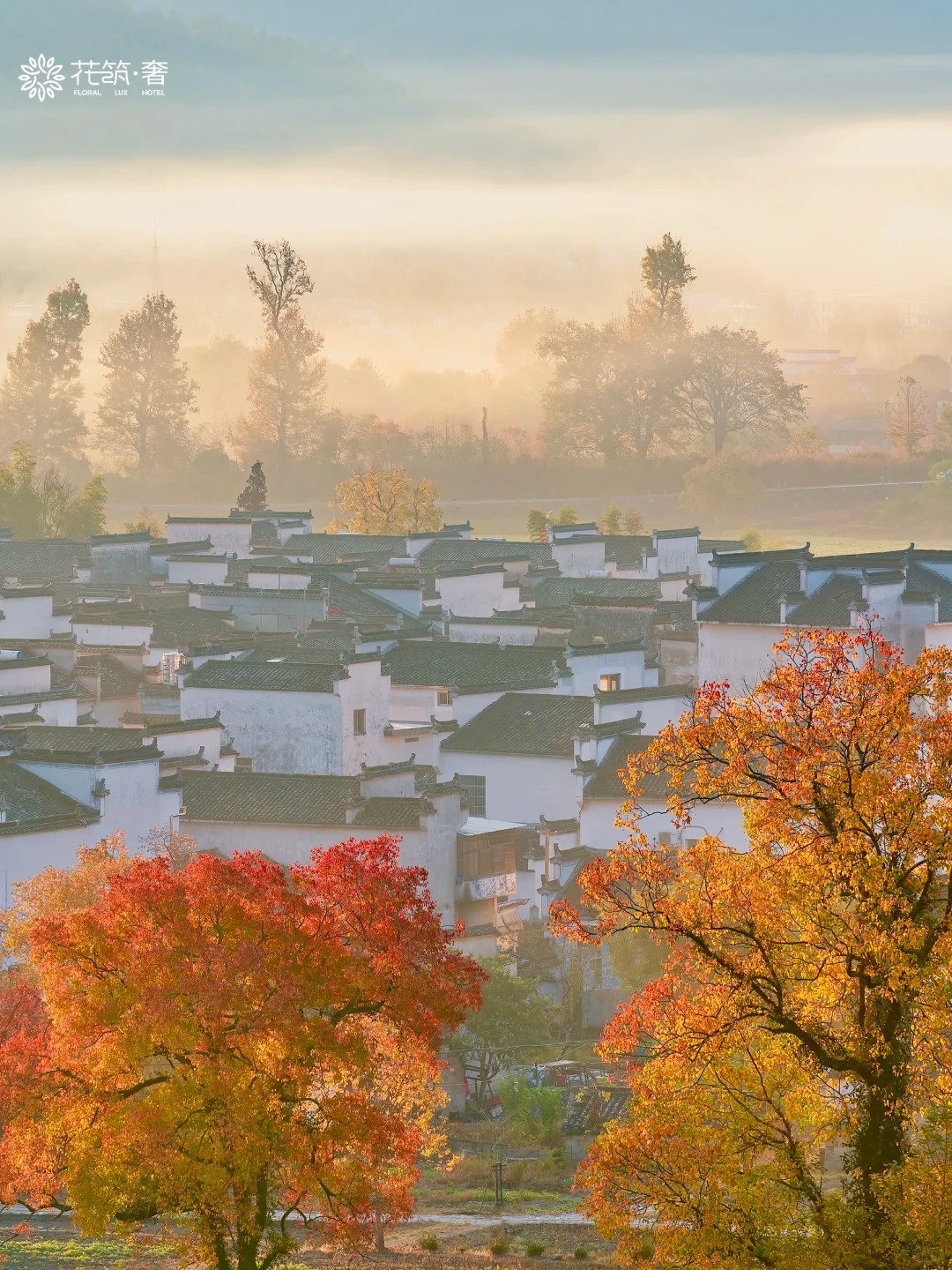 被《国家地理》评为皖南最美古村的秋天有绝_5_花筑奢_安徽徽州-来自52tours 我爱旅游网